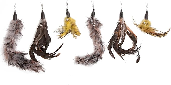 Cat Toys Feather Refill 6 Pack - Add Life to Your Cat's Favorite Toy with This Interchangeable Feather Refill Multipack (As Photographed).