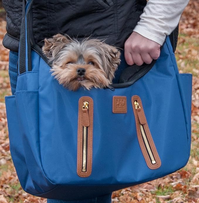 Pet Gear Carrier for Small Dogs & Cats, Caribbean Blue