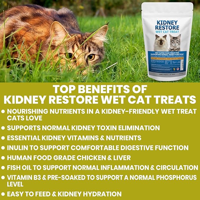 Fresh-Made Kidney Care Wet Cat Treat - Feline Kidney Support Renal Cat Treat - Low Phosphorus & Sodium Support for Cats - Best Feline Food, Feline Renal Support USA Made 16 Ounce