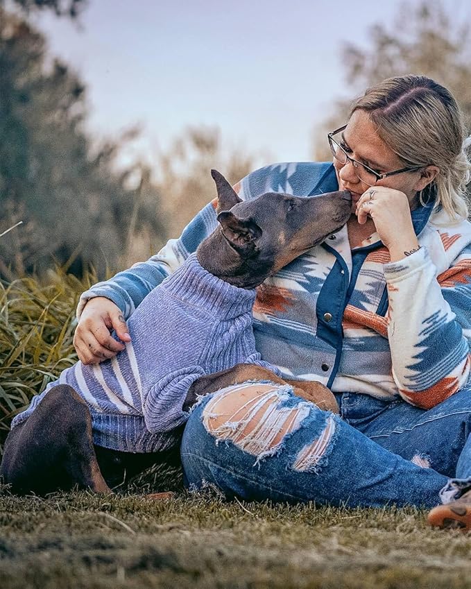 Blueberry Pet Cozy Soft Chenille Classy Striped Dog Sweater in Stonewash Blue, Back Length 22", Pack of 1 Clothes for Dogs
