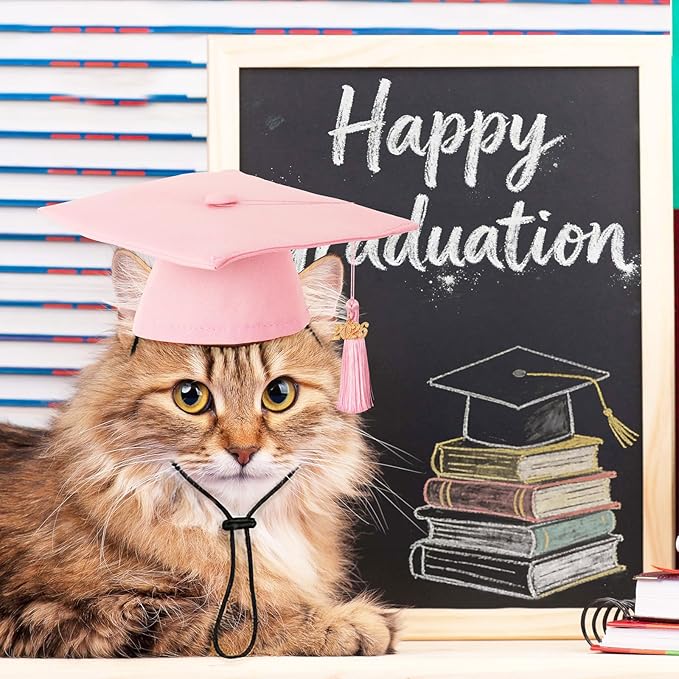 JULMELON Pet Graduation Caps with 2026 Pink Tassels, Dog and Cats Graduation Pink Hats Adjustable Mini Graduation Caps for AKC Graduation Photo Props Holiday Costume Accessories