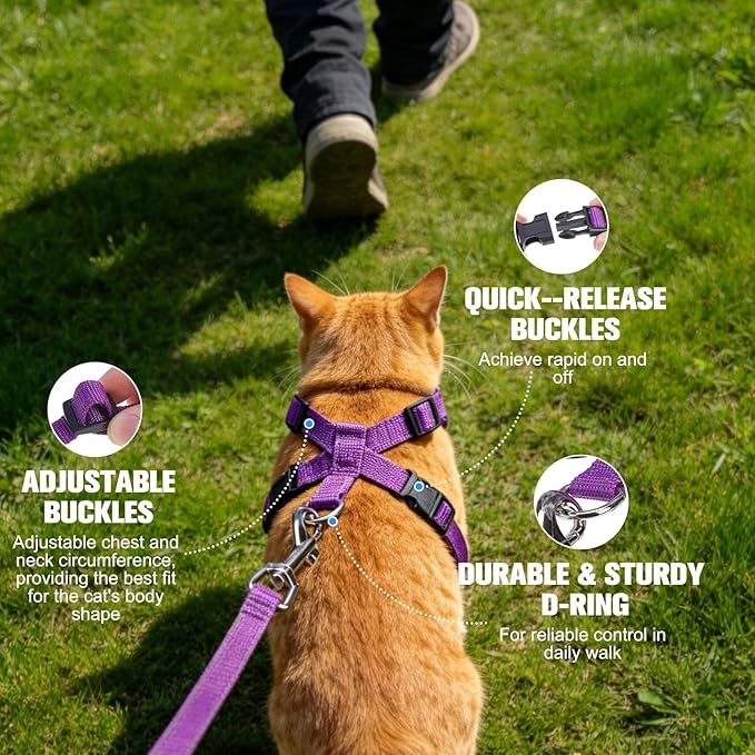 EXPAWLORER Escape Proof Cat Harness and Leash Set - Soft Breathable Vest Harness with Adjustable for Kitten Puppy Outdoor Walking Travel, Reflective Harnesses for Small Medium Large Cats, Daisy S
