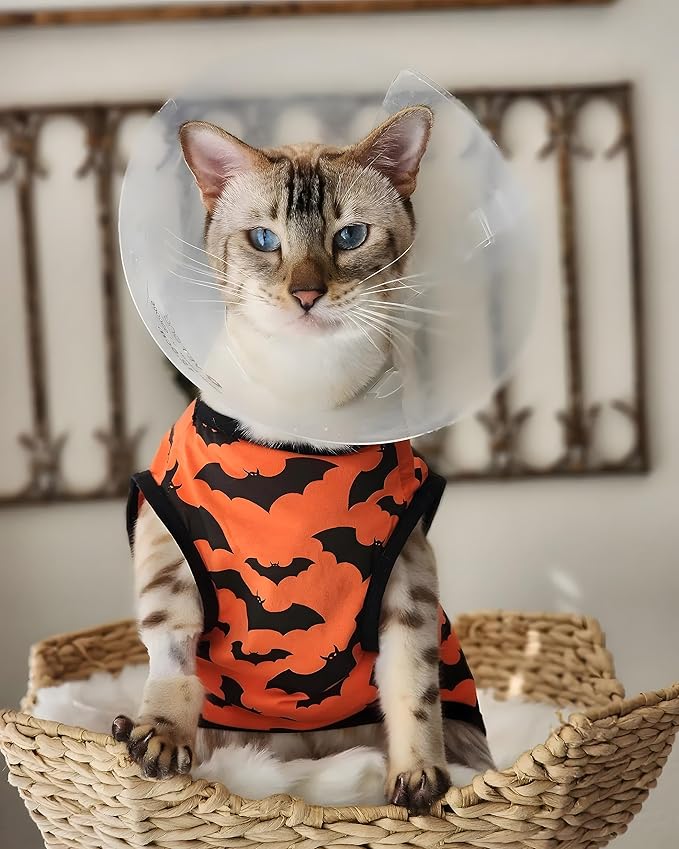 Fitwarm 100% Cotton Halloween Dog Clothes Scary Bat Dog Costumes Doggie Shirts Puppy Shirt Pet Vest Tank Top Cat Tee Orange Small