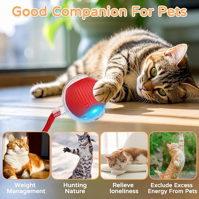 Goosheep 2025 New 2Pack Cat Ball Kitten Toys for Indoor Interactive Kitty Ball Toy Speedy Tail 360° Automatic Rolling for Dog, Cat(Red Grey)
