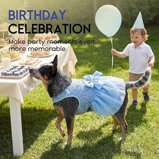 ASENKU Dog Dress Pet Wedding Dress Princess Lace Puppy Birthday Party Outfit Formal Apparel Girl for Small Medium Dogs Cats (Small, Blue)