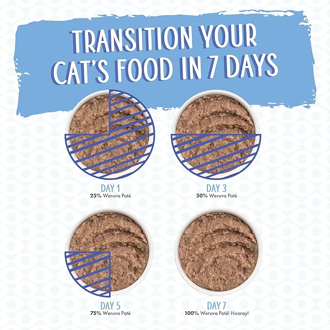 Weruva Wet Cat Food, Who Wants to be a Meowionaire with Chicken and Pumpkin Pate, 3oz Can, Pack of 12