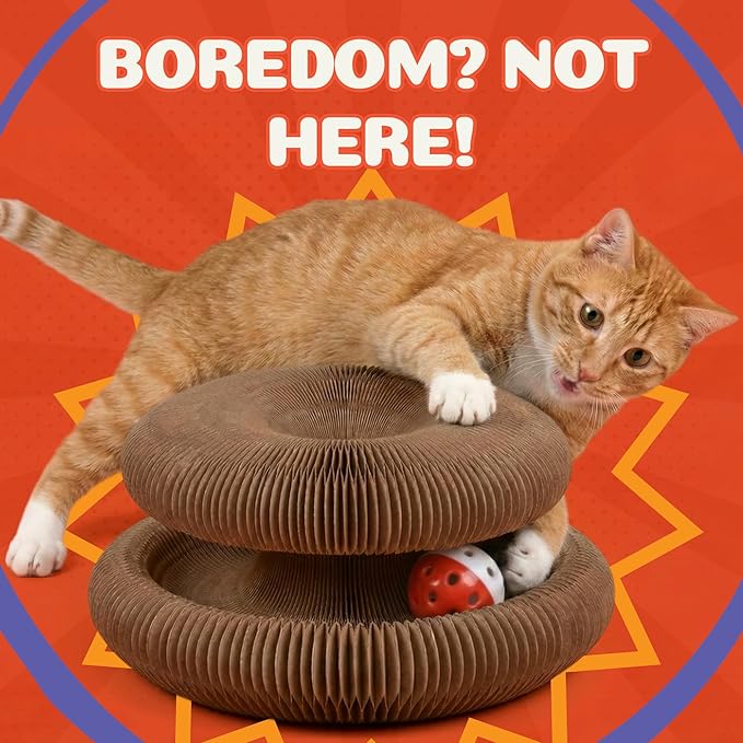 Kitty&Scratch Cat Scratcher Toy | Cardboard Cat Toy with Ball Track with Bell | Kitty Kurlz | Kitty Curls Style Accordion Toy | Expandable Reversible Cardboard Scratcher for Cats & Kittens