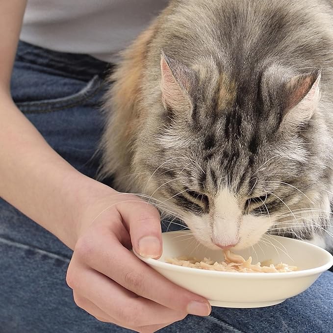 INABA Chicken Broth, Side Dish/Topper for Cats with Vitamin E, 1.76 Ounce Pouch, 8 Pouches Total, Chicken and Salmon Recipe