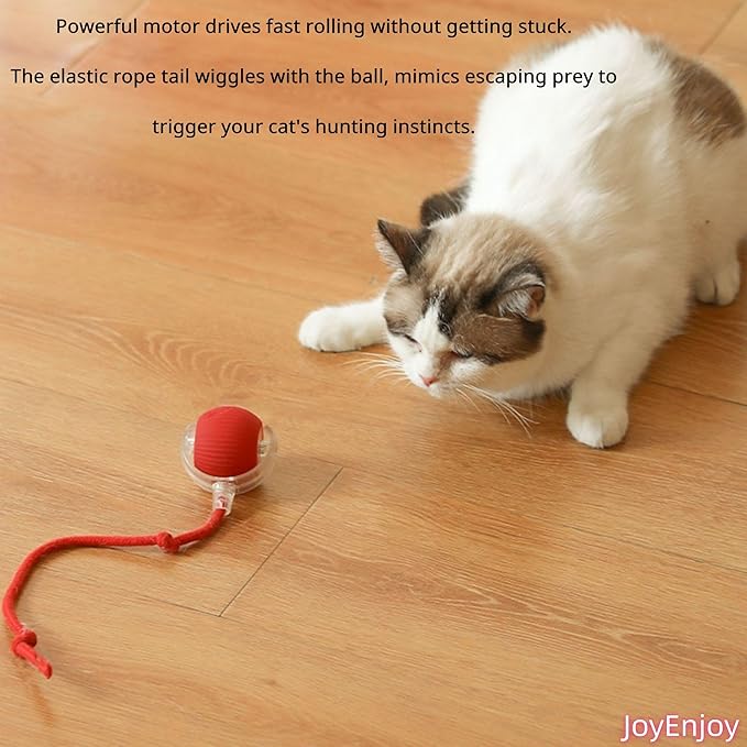 Interactive Cat Toy Ball Automatic Rolling Smart Cat Ball with Tail Motion Activated USB Rechargeable 3 Speed Modes Bird Chirping Durable Silicone Pet Toy for Indoor Cats Multiple Colors (Green)