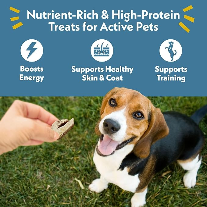 Fresh Is Best Beef Liver Fillets Freeze Dried Dog Treats – Raw Freeze Dried Dog Food for Cats & Canines – Training Treat in Resealable Zipper Bag – Grass-fed & Finished Beef Made in the USA