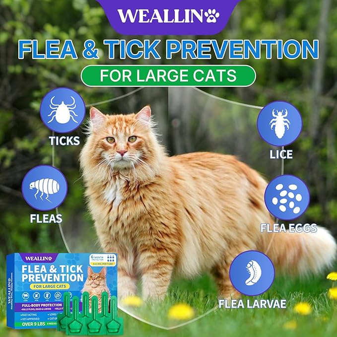 WEALLIN Flea and Tick Prevention for Large Cat, Fleas and Ticks Treatment for Cats Over 9 lbs, Topical Cat Flea Treatment, Fast-Acting & Long-Lasting Fleas Control for Cats, 6-Dose Supply