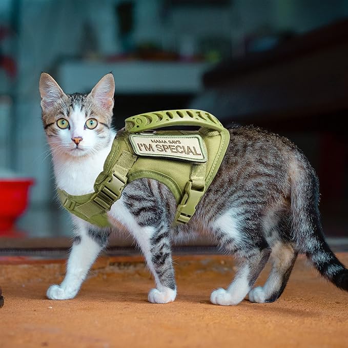 AIWAI Tactical Cat Harness for Walking Escape Proof, Adjustable Pet Vest Harness with Control Handle for Large Cat Small Dog, Soft Mesh, Gift with Patch