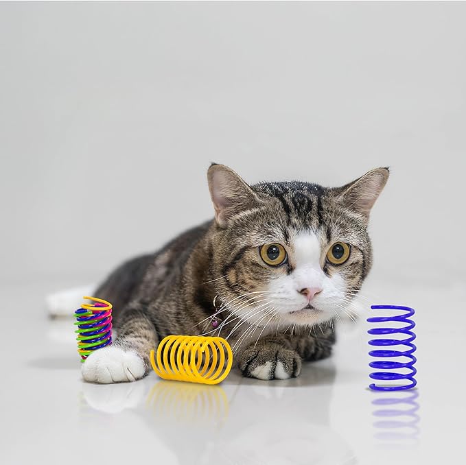 Cat Spring Toy, 13 Pcs Cat Kittens Toys Plastic Colorful Coil Spiral Springs for Swatting, Biting, Hunting, and Active Healthy Play Interactive Toys Indoor Cats
