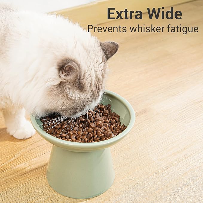 CEEFU Extra Wide Elevated Ceramic Cat Bowl, 6.2" Shallow Dish for Whisker Fatigue Relief, 5" Height for Easy Feeding, Durable Raised Cat Food Bowls, Pack of 2, Sage Green