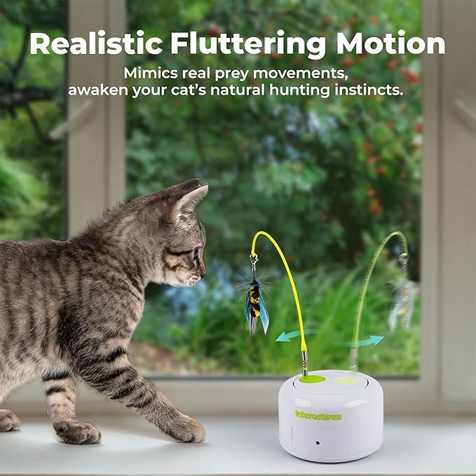 ALL FOR PAWS Interactive Cat Toy, Automatic Cat Toys with Flying Bug for Indoor Bored Cats, Cat Motion Activated Toys, Electric Cat Teaser Flying Feather Wand