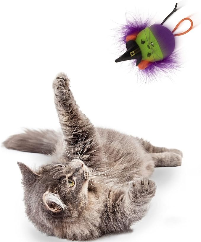 Petlinks Halloween Grumpy Witch Launcher Cat Toy - Green/Purple, One Size