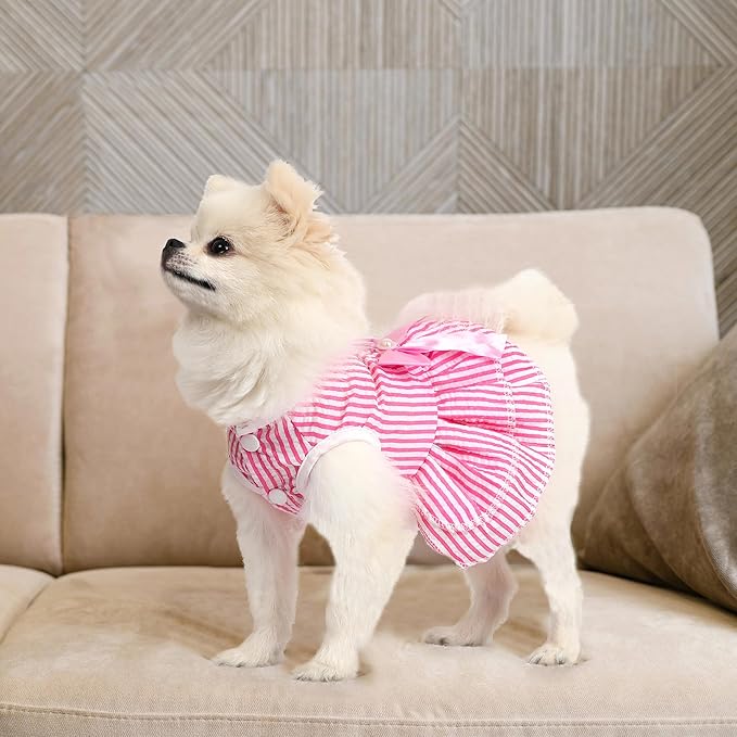 Pet Summer Dress, Cute Princess Dog Dresses for Small Dogs Girl with Bright Color Design, Sweet Bowknot, Small Puppy Clothes for Girls, 2 Pack, XS