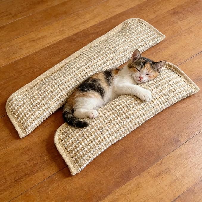 3Pcs Organic Catnip Pillows for Indoor Cats - 10000mg A+ Catnip, Sisal Scratcher Mat, Durable Teething Toy for Aggressive Chewers,Boredom, Anxiety Relief (3Pcs Small)