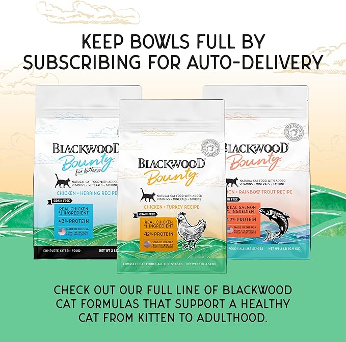 Blackwood Bounty Dry Cat Food, Chicken & Turkey Recipe for All Life Stages, 10 Pound Bag, High Protein, Grain Free