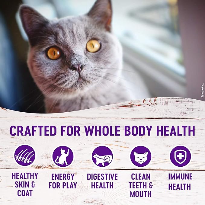 Wellness Natural Pet Food Complete Health Natural Grain Free Deboned Chicken & Chicken Meal Dry Cat Food, 11.5 Pound Bag (Pack of 2)