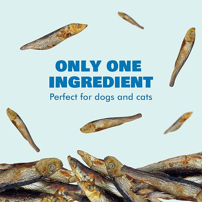 Benji & Louie Air Dried Herring Fish for Dogs and Cats - Natural Healthy Dog and Cat Treats, Single Ingredient, 3 oz