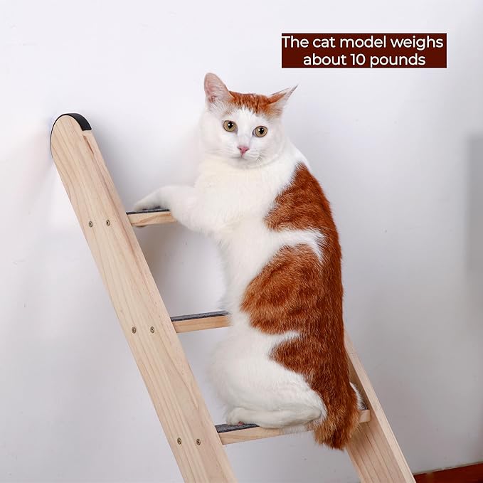 SHENGOCASE Solid Wood Wall Leaning Cat Ladder for Indoor Cats and Small Medium Dog, Stair Step for Window Bed, Wall Climbing Furniture (31.5")