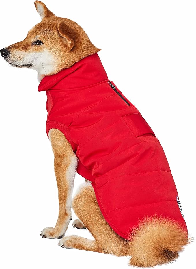 Blueberry Pet Cozy & Comfy Dog Coat – Waterproof Quilted Winter Jacket in True Red, Warm Outdoor Wear for Small & Medium Dogs, Size 14"