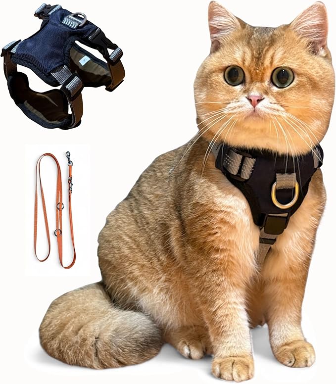 Adult Cat Outdoor Harness, 5-Point Adjustable Vest and Leash Set, Navy Blue, Reflective, Soft Material (Medium)