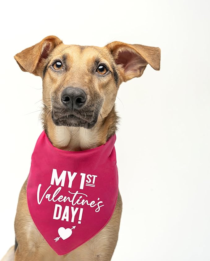 My First Valentine's Day Dog Bandana | 100% Cotton Adjustable Triangle | Made in USA | Valentine's Day | Love & Hearts |Red, One Size (158)