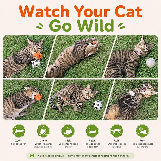 Agape 100% Catnip & Silvervine Filled Cat Toys, Interactive Chew & Kicker Balls for Indoor Cats, Enrichment and Teeth Cleaning Fun for Bored Cats and Kittens, 4 Pack Natural Crinkle Cat Toy with Sound