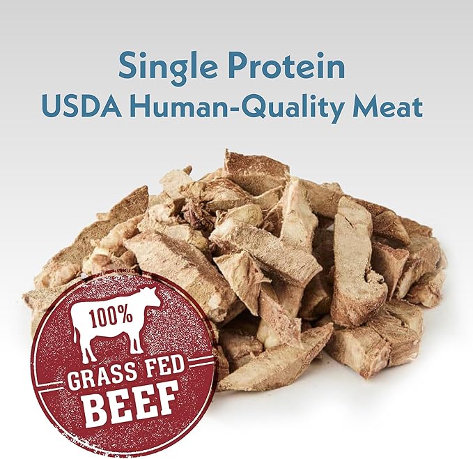Fresh Is Best Beef Heart Fillets Freeze Dried Dog Treats – Raw Freeze Dried Dog Food for Cats & Canines – Training Treat in Resealable Zipper Bag – Grass-fed & Finished Beef Made in the USA