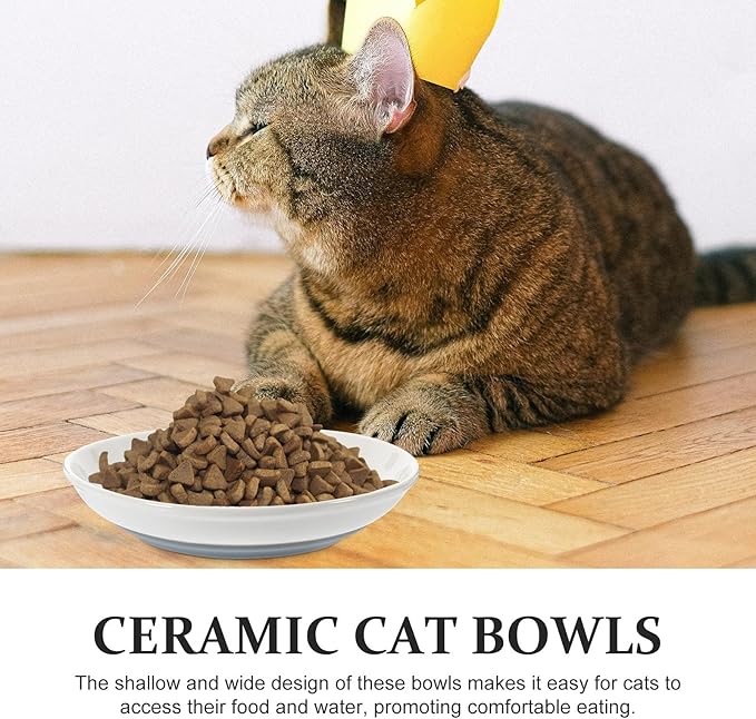 ibasenice Ceramic Cat Bowls 3pcs Shallow Wide Cat Feeder Dish with Non-Slip Silicone Base Gray Fishbone Design for Healthy Feeding and Watering