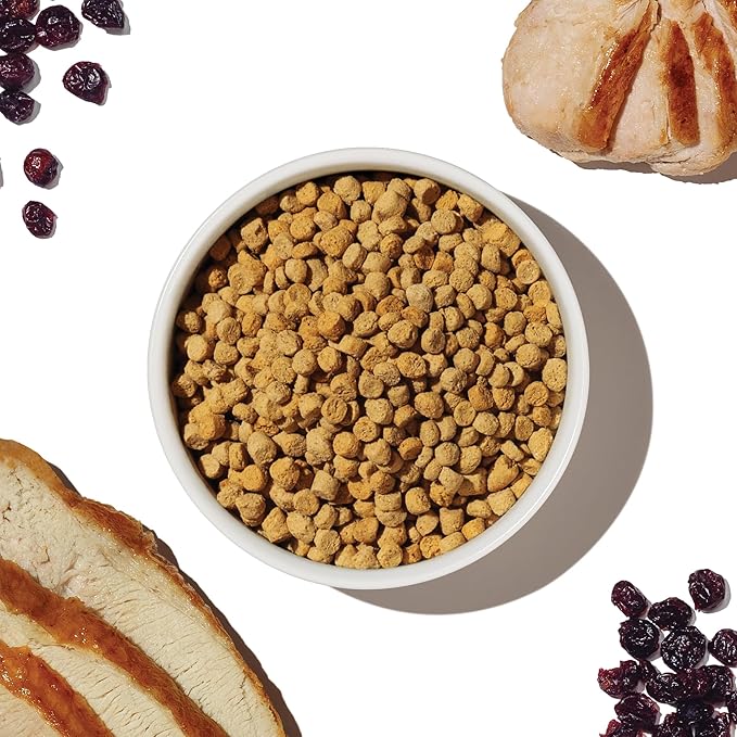 The Honest Kitchen Whole Food Clusters Grain Free Turkey & Chicken Dry Cat Food, 1 lb Trial Pouch (Pack of 2)