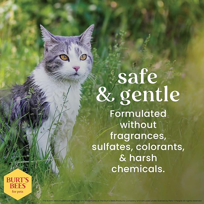 BURT'S BEES FOR PETS Cat Dander Remover Wipes, Colloidal Oat Flour and Aloe to Soothe Dry Skin and Reduce Flaking, Unscented Grooming Cloths for Cats and Kittens, 50 Count - 2 Pack