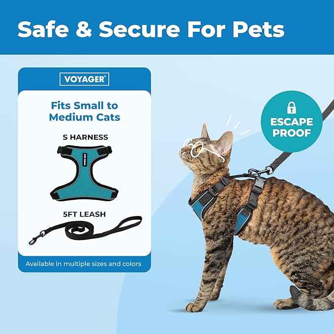Voyager Escape-Proof Step-in Lock Cat Harness & 5ft Neoprene-Handle Leash Set All-Weather Mesh with Reflective Stitching for Small to Large Cats by Best Pet Supplies, Black Trim-Turquoise (327), S