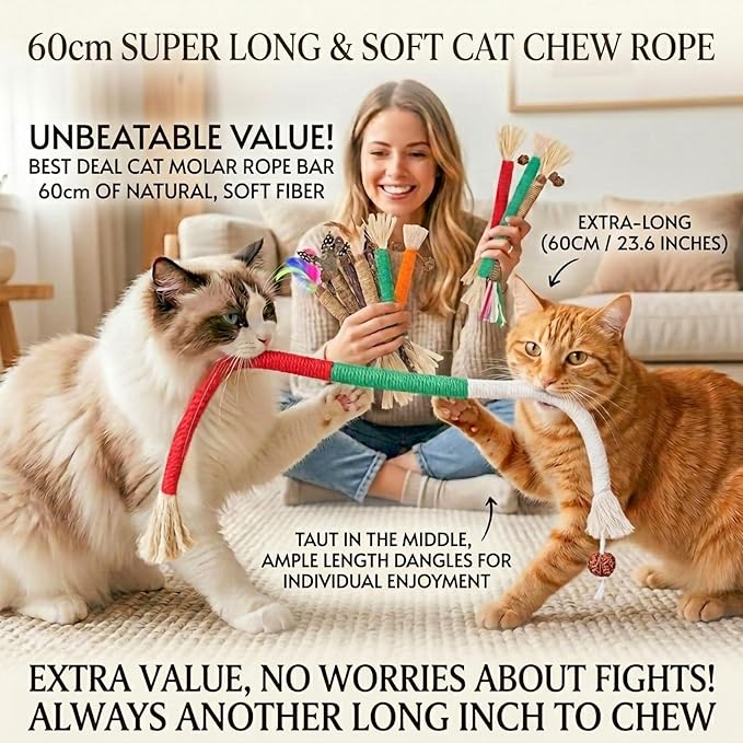 Cat Toys 12PCS Catnip Toy for Indoor Kitten Toys Cat Chew Stick for Dental Cleaning Teeth Cat Silvervine Matatabi Rope Treat Kitty Feather Snack for for Kick Molar Scratch Self Play