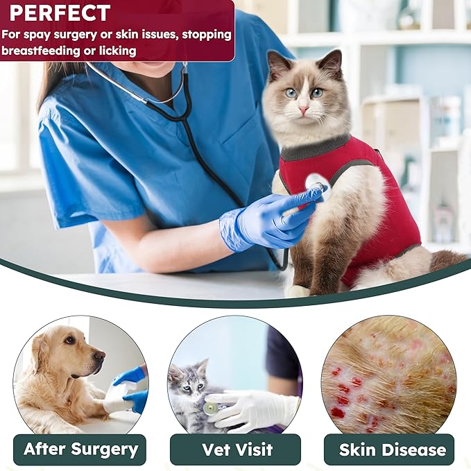 Hpetppy Cat Recovery Suit After Surgery, Breathable Cat Surgery Recovery Suit for Spay Abdominal Wounds or Skin Diseases, E-Collar Alternative Wear for Small Male Female Pets (Red,L)