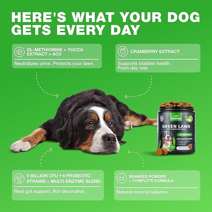 Grass Burn Spot Chews for Dogs - Urine Neutralizer for Lawn - Pee Lawn Spot Saver Caused by Urine - Probiotics, Enzymes & Multivitamins - Grass Saver Soft Treats for Canine Digestive and UTI Support