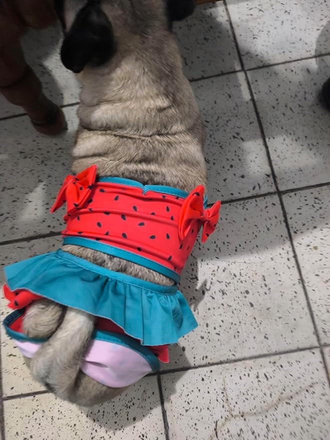 Funny Dog Swimwear Bikini Summer Dog Clothes Beach Swimsuit Puppy Bathing Suit Puppy Vest Cooling Pet Shirt for Small Dogs, Cat Apparel (Watermelon, XX-Large)