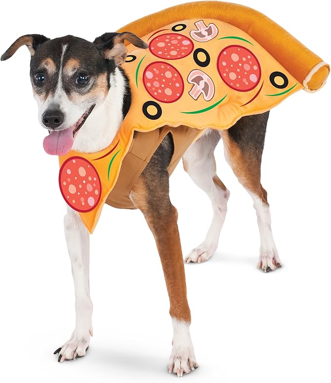 Rubies Pizza Slice Pet Costume for Dogs or Cats, XL