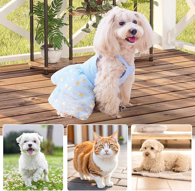 Dog Tutu Dress Cat Dogs Summer Tulle Slip Lace Dress Cute Puppy Glitter Star Skirt Pet Party Clothes for Small Medium Cat Dog (Blue, Medium)