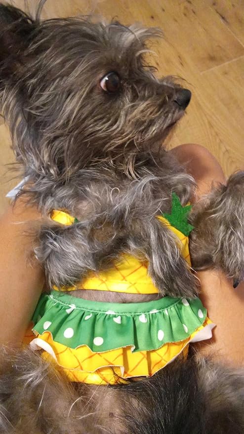 Funny Dog Swimwear Bikini Summer Dog Clothes Beach Swimsuit Puppy Bathing Suit Puppy Vest Cooling Pet Shirt for Small Dogs, Cat Apparel (Small, Yellow Pineapple)