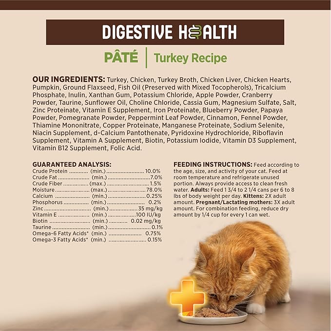 Wellness CORE+ Digestive Health Pate Adult Canned Wet Cat Food, Natural, Protein Rich, Grain Free, Turkey Recipe, 3 oz, Pack of 12 Cans