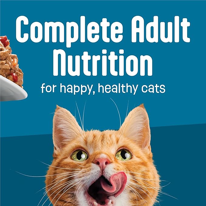 Purina Friskies Fully Load’d Wet Cat Food Variety Pack with Chicken, Salmon, or Tuna in Wet Cat Food Gravy - 5.5 Ounce (Pack of 12)