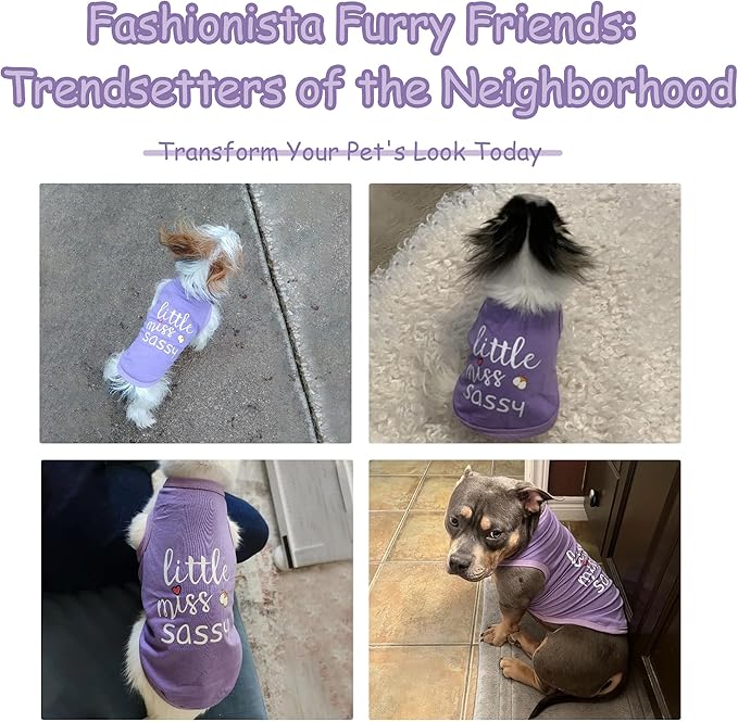 Paiaite Dog Clothes Fashionable Sleeveless Pet Vest: 'Little Miss Sassy' Printed Cotton Dog Shirt, Ideal for Small, Medium, and Large Breeds, Ensuring Comfort and Breathability Purple 4XL