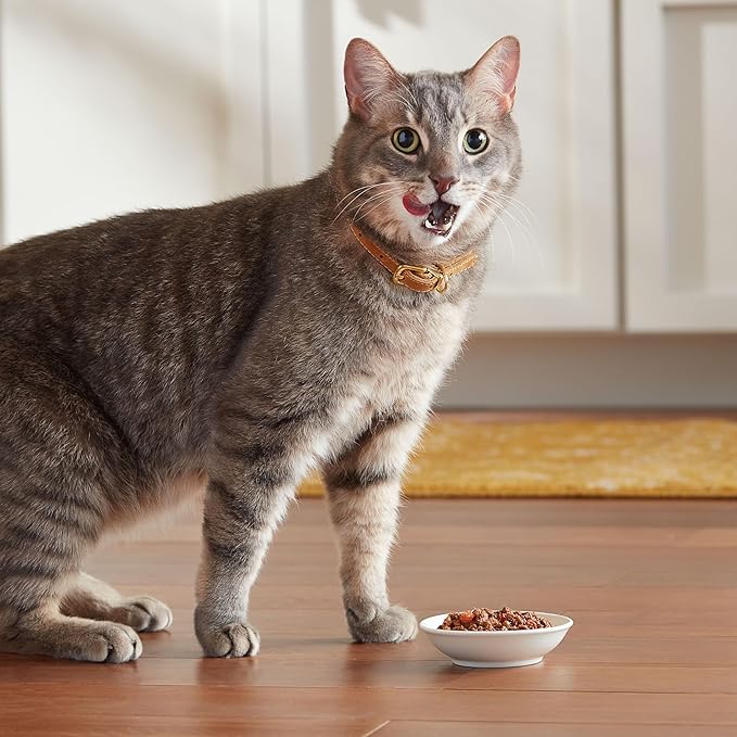 Meow Mix Tender Favorites With Real Tuna & Whole Shrimp in Sauce