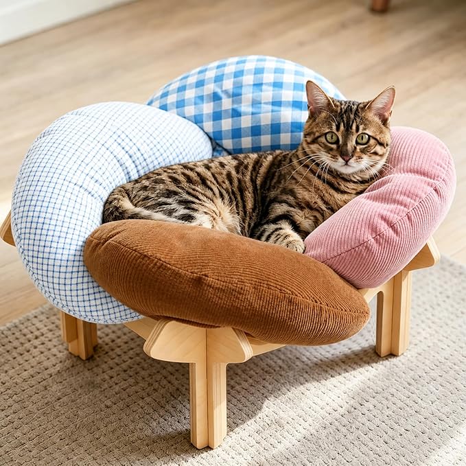 PACHIRA Elevated Cat Bed Wooden, Cat Couch Fluffy, Cat Sofa Flower for Indoor Cats, Raised Cat Bed with Washable Fluffy Cushion and Birch Wood, Cat Chair for Kitty and Puppy, Cat Furniture (Colored)