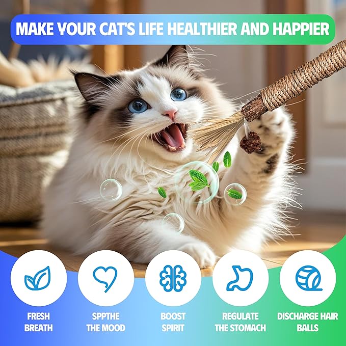 GBSYU Cat Toys Chew Rope & Silvervine Sticks for Bored Indoor Adult Cats, 6Pcs Interactive Catnip Toys for Cats with Refillable Natural Catnip Bag for Teeth Cleaning