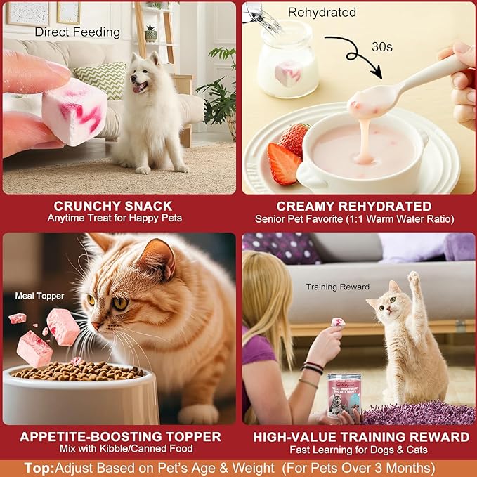 Freeze Dried Yogurt Dog Cats Treats Crunchy Snacks with Strawberry100g (3.52oz), High Protein Yogurts Snacks Pets Food for Cats Dogs Training (Blueberry Yogurt 3pcs)