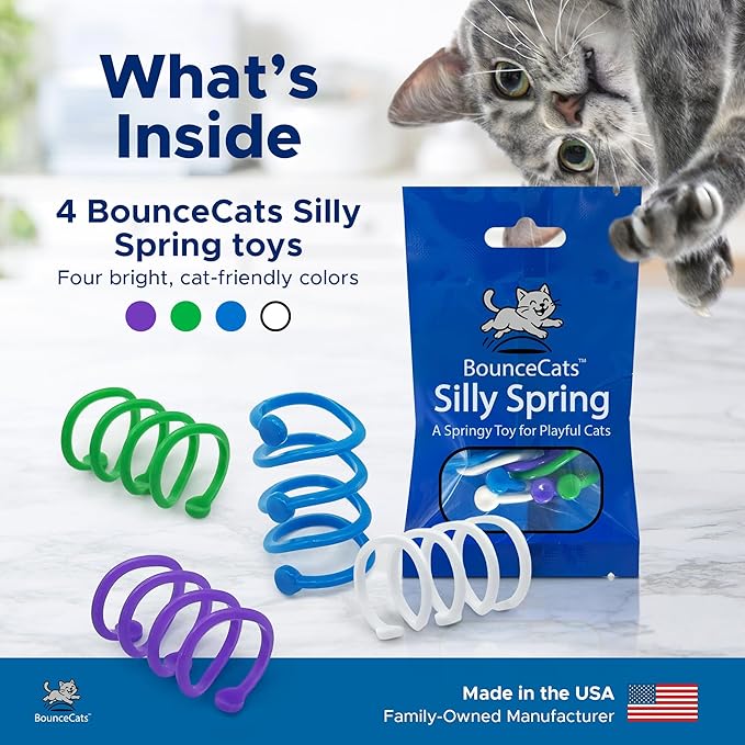 Cat Springs for Indoor Cats & Kittens – Interactive Coil Spring Toy Cats Can't Resist, Swat, Chase & Pounce, Family Made in USA, Set of 4